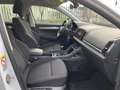 Skoda Karoq 2.0 TDI SCR 4x4 SportLine Bianco - thumbnail 12