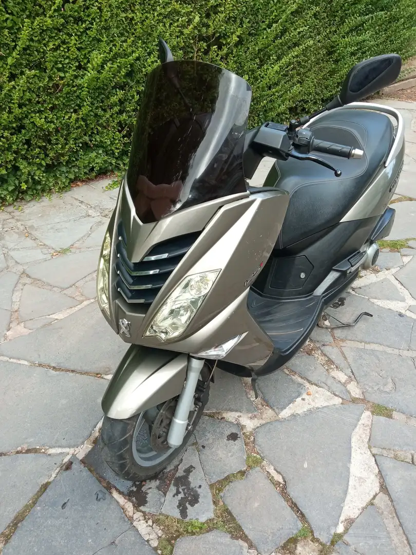 Peugeot Citystar Scooter + tablier Bronzo - 1