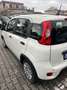 Fiat Panda Pandina 1.0 firefly hybrid s&s 70cv 5p.ti - thumbnail 7