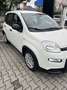 Fiat Panda Pandina 1.0 firefly hybrid s&s 70cv 5p.ti - thumbnail 1