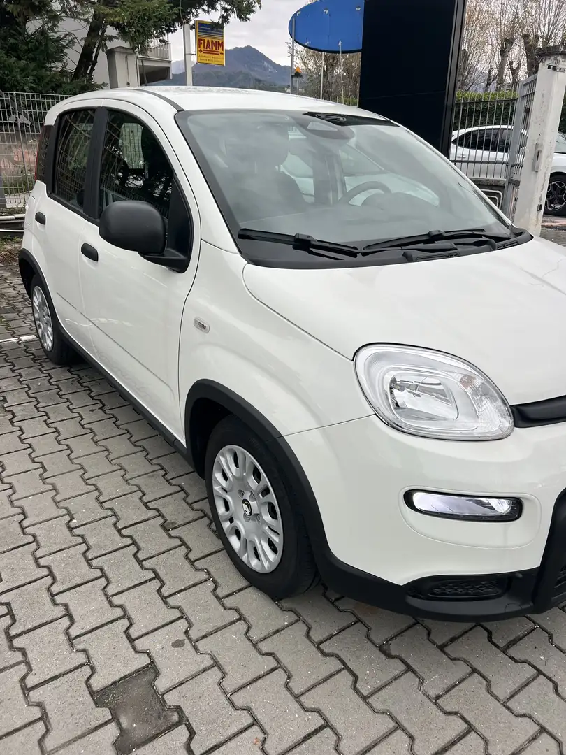 Fiat Panda Pandina 1.0 firefly hybrid s&s 70cv 5p.ti - 1