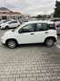 Fiat Panda Pandina 1.0 firefly hybrid s&s 70cv 5p.ti - thumbnail 4
