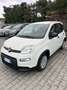 Fiat Panda Pandina 1.0 firefly hybrid s&s 70cv 5p.ti - thumbnail 3