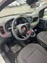 Fiat Panda Pandina 1.0 firefly hybrid s&s 70cv 5p.ti - thumbnail 8