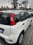 Fiat Panda Pandina 1.0 firefly hybrid s&s 70cv 5p.ti - thumbnail 6