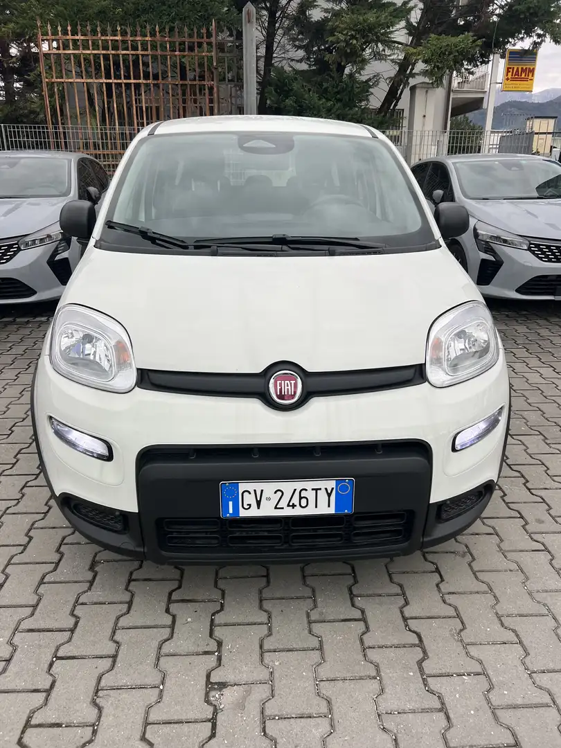 Fiat Panda Pandina 1.0 firefly hybrid s&s 70cv 5p.ti - 2