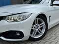 BMW 430 d xDrive Coupe Sport Aut. GSHD/AdLED/HUP/H&K Weiß - thumbnail 9