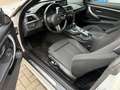 BMW 430 d xDrive Coupe Sport Aut. GSHD/AdLED/HUP/H&K Weiß - thumbnail 13
