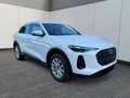 Audi Q5 Basis AHK+NAVI+SHZ+PDC TFSI 150 kW (204PS) 7-Ga... Weiß - thumbnail 8