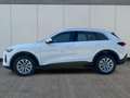 Audi Q5 Basis AHK+NAVI+SHZ+PDC TFSI 150 kW (204PS) 7-Ga... Weiß - thumbnail 3