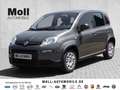 Fiat Panda Base 1.0 Mild EU6d Hybrid Tech Paket, Radio, Klima Gris - thumbnail 1
