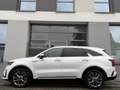 Kia Sorento SORENTO 2.2D 4WD*PLATINUM*360*PANO*HUD*20 Blanco - thumbnail 3