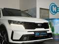 Kia Sorento SORENTO 2.2D 4WD*PLATINUM*360*PANO*HUD*20 Blanco - thumbnail 44