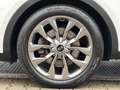 Kia Sorento SORENTO 2.2D 4WD*PLATINUM*360*PANO*HUD*20 Blanco - thumbnail 45