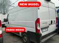 Fiat Ducato 2.2mjt 140cv L2H2 FURGONE KM 70.000 Bianco - thumbnail 9