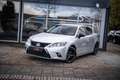 Lexus CT 200h Executive 17"|Cruise Control|Camera|Navi|Stoelverw Grigio - thumbnail 39