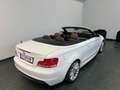 BMW 118 118i Cabrio Weiß - thumbnail 2