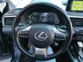 Lexus RX 450h IV 2020 450h 3.5 Luxury cvt Niebieski - thumbnail 14