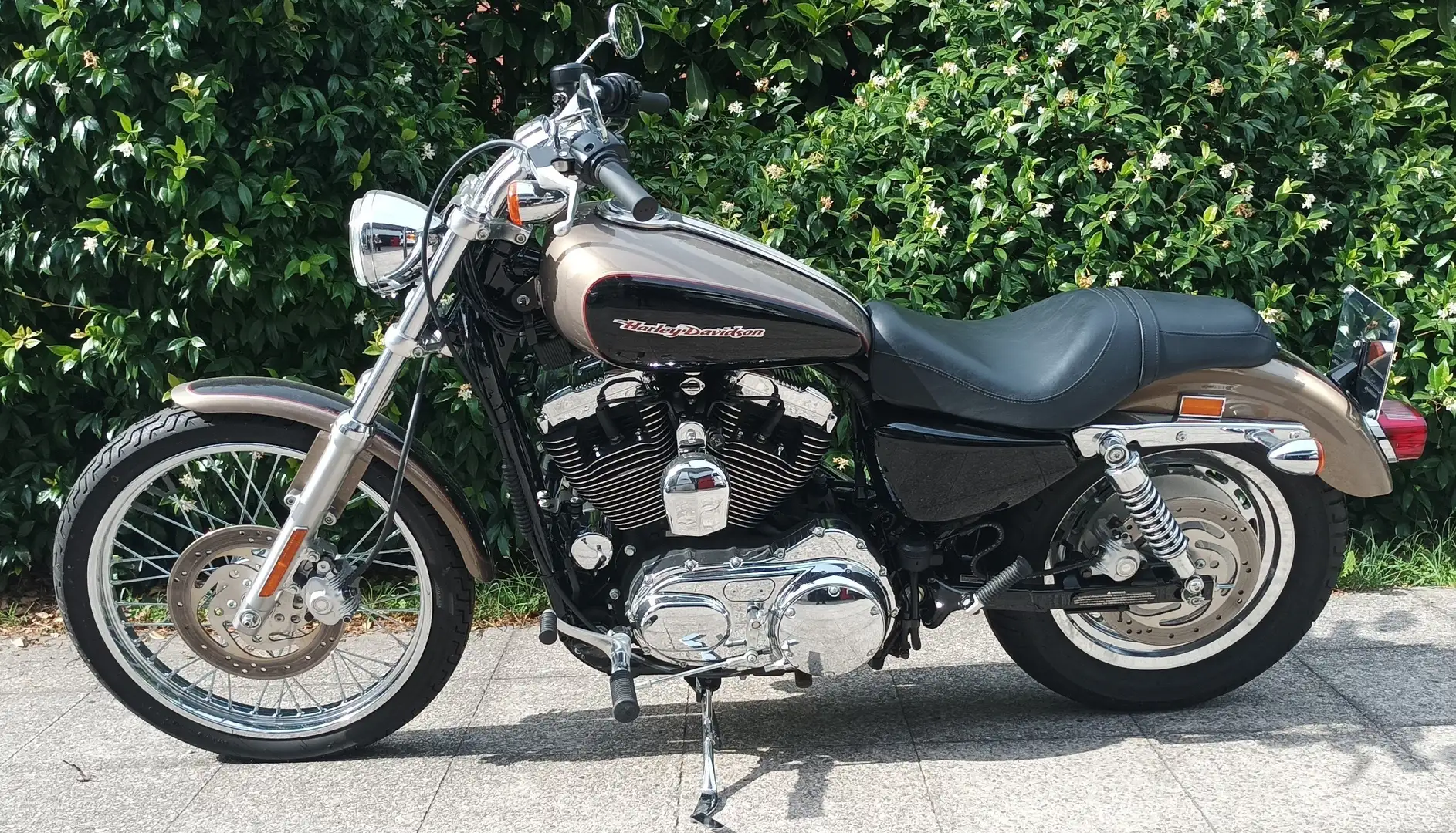 Harley-Davidson Sportster 1200 xlh1200 sportster Marrone - 1