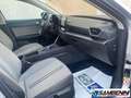 SEAT Leon 2.0 tdi Style 150cv dsg Bianco - thumbnail 11