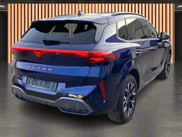 Cupra Terramar view 15