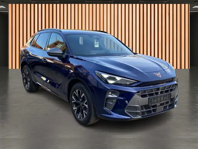 Cupra Terramar view 14