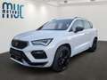 CUPRA Ateca TSI VZ 4Drive Weiß - thumbnail 2