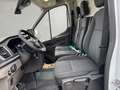 Ford Transit Transit Kasten 130PS Diesel/Schaltgetriebe 2,0l... Weiß - thumbnail 16