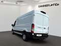 Ford Transit Transit Kasten 130PS Diesel/Schaltgetriebe 2,0l... Weiß - thumbnail 6