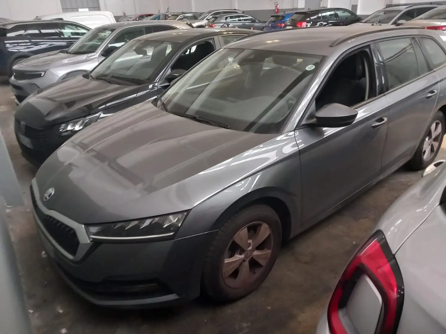 Skoda Octavia Octavia IV 2022 Wagon Wagon 2.0 tdi  150cv dsg Gris - 1