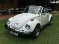 Volkswagen Käfer cabrio oldtimer Bílá - thumbnail 4