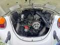 Volkswagen Käfer cabrio oldtimer Bílá - thumbnail 12
