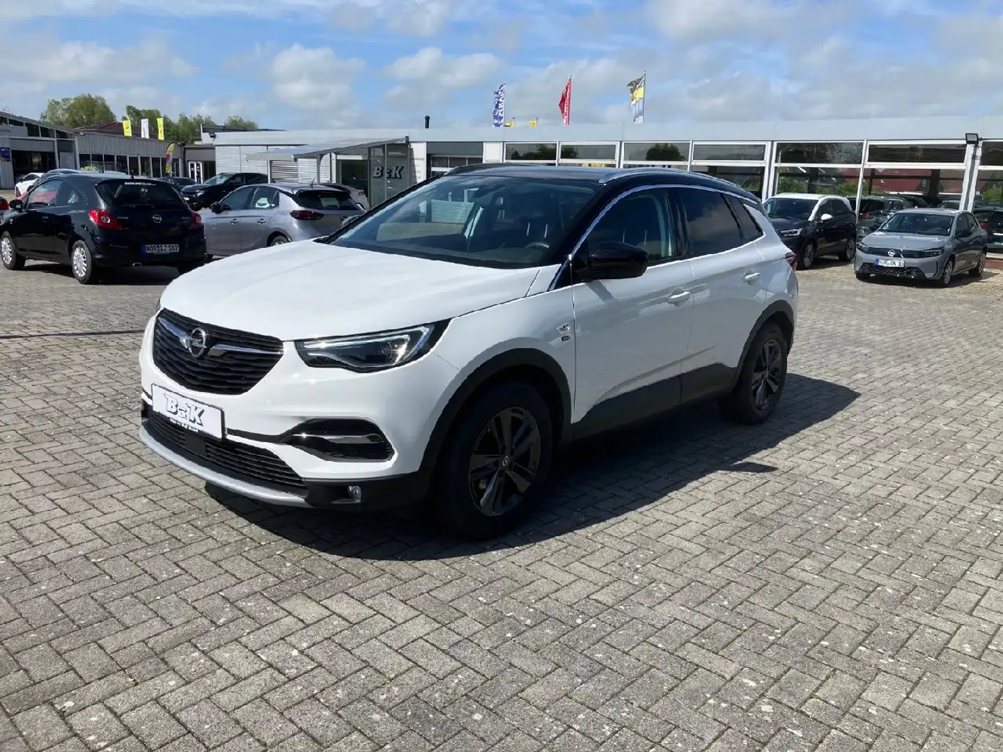 Opel Grandland 120 Jahre Blanco - 1