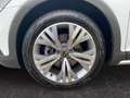 Volkswagen Passat Alltrack Passat Variant Alltrack 2.0 TDI 4Motion Matrix Weiß - thumbnail 15