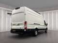 Ford Transit Kastenwagen Trend 350 L4 2.0 l EcoBlue . 6-Gang-Sc Weiß - thumbnail 16