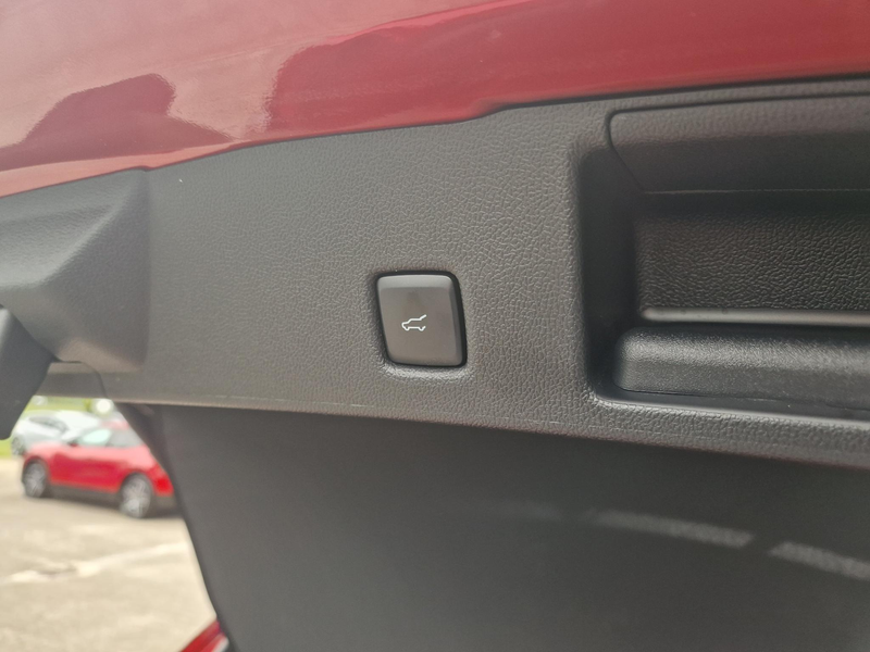 Ford Kuga 2.5 PHEV Vignale 29200 KM | Lederen bekleding | Wi — photo 6