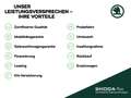 Skoda Scala Scala 1.5 TSI DSG Style Navi*LED*e.Heck  Autom./BC Blauw - thumbnail 18