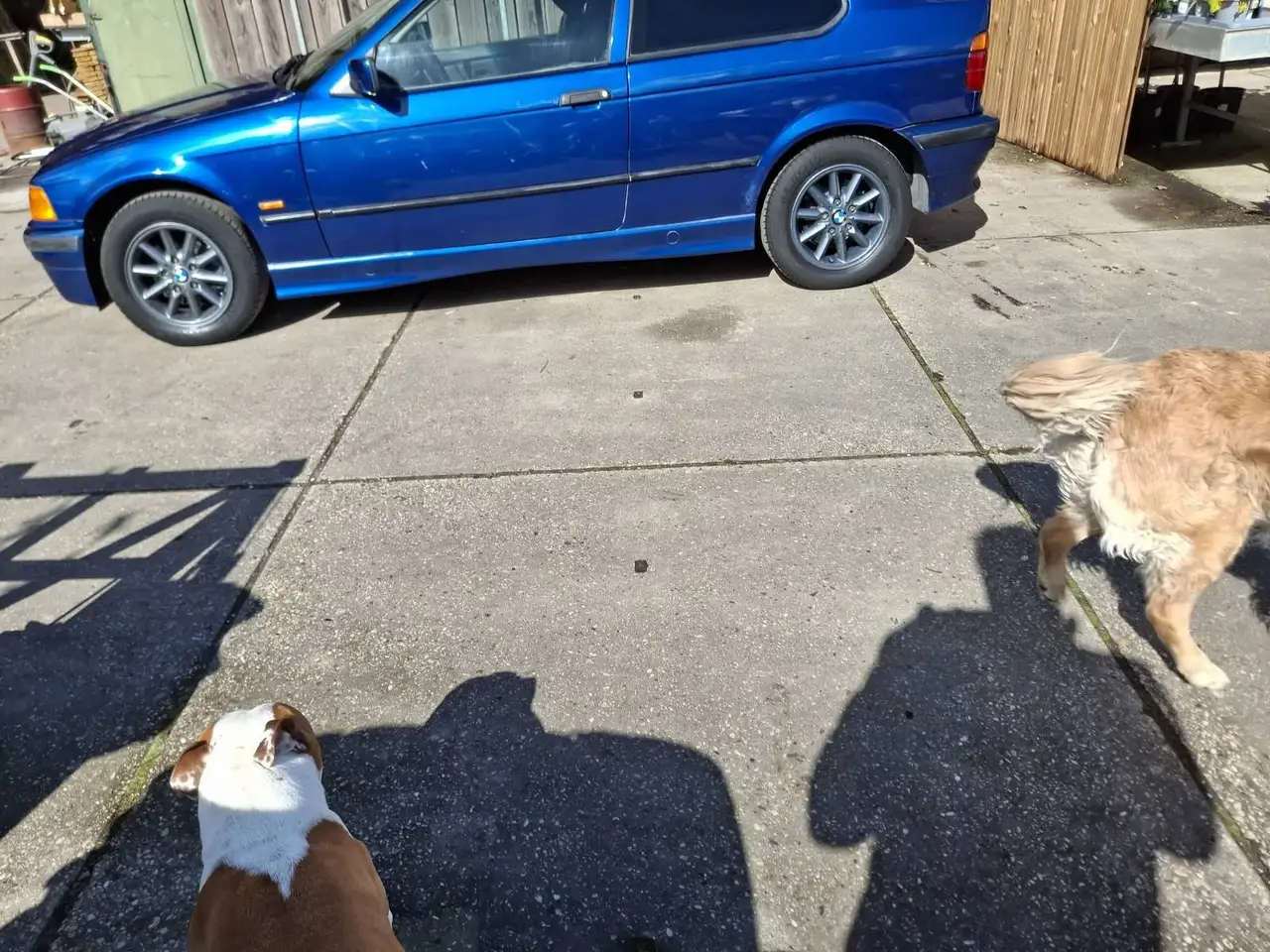 BMW 316, foto 5