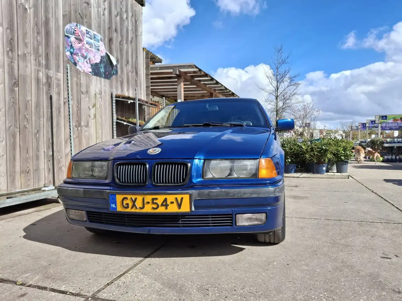 BMW 316, foto 11