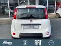 Fiat Panda 1.0 Mild Hybrid Klima/PDC/DAB/Bluetooth Weiß - thumbnail 8