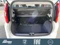 Fiat Panda 1.0 Mild Hybrid Klima/PDC/DAB/Bluetooth Weiß - thumbnail 9