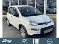 Fiat Panda 1.0 Mild Hybrid Klima/PDC/DAB/Bluetooth Weiß - thumbnail 4