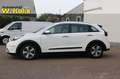 Kia Niro 1.6 GDi Hybrid DynamicLine Blanc - thumbnail 2