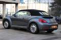 Volkswagen New Beetle DSG 7 Gris - thumbnail 6
