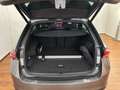 Skoda Octavia 4x4 Sportline TSI DSG Grau - thumbnail 11
