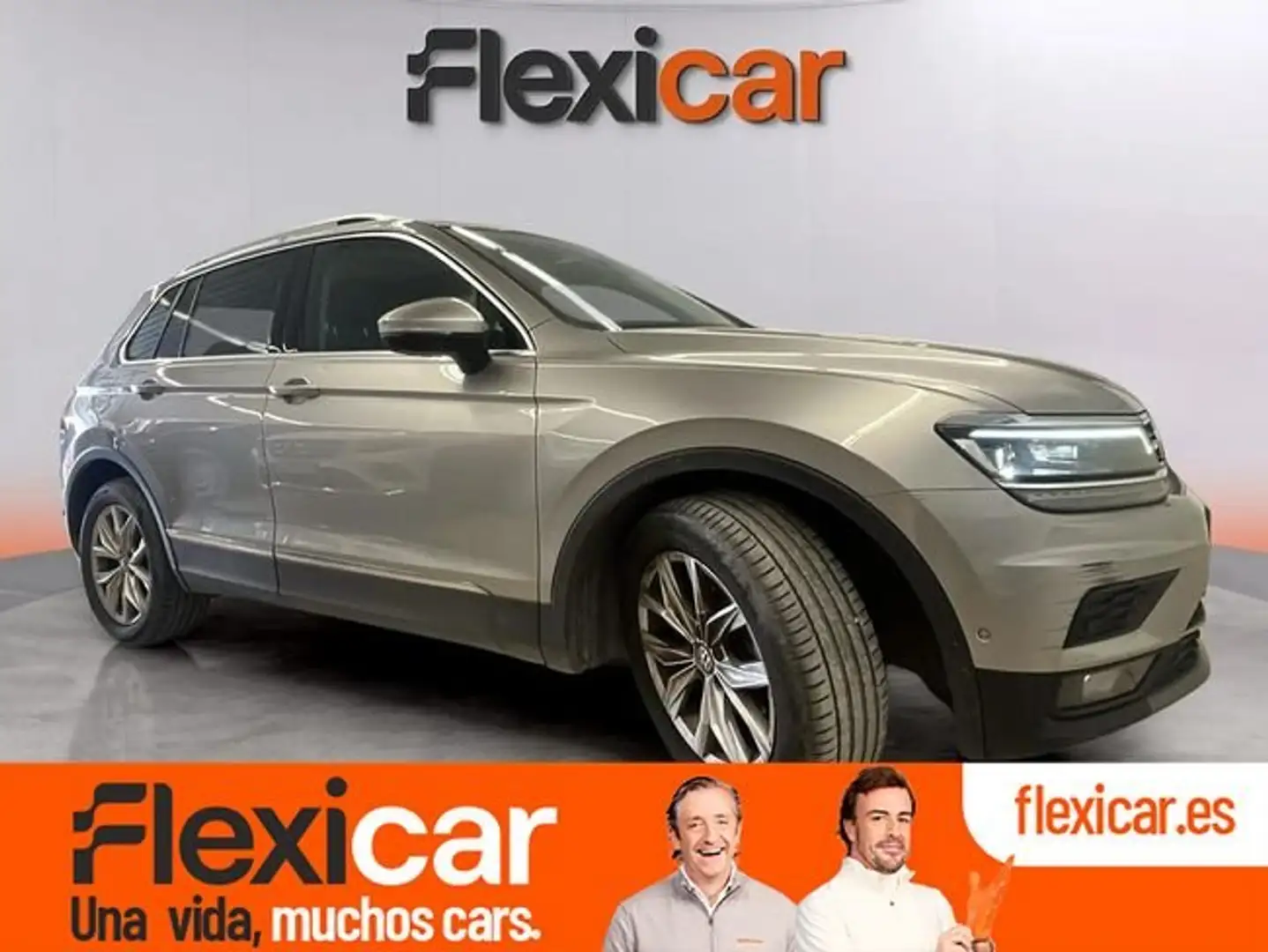 Volkswagen Tiguan Advance+2.0+TDI+110kW+%28150CV%29+DSG Gris - 1