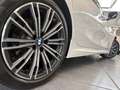 BMW 320 i xDrive M Sport LED LC Prof PDC AHK Lhz HiFi Wit - thumbnail 4