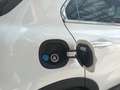 Fiat 500X 500X CROSS DCT 1.6 MultiJet 120 CV 4x2 Wit - thumbnail 23