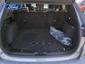Ford Kuga ST-LINE X 1.5 EcoBoost 110KW (150CV) Euro 6.2 - thumbnail 10