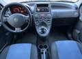 Fiat Panda Panda 1.2 Dynamic 69cv ADATTA ANCHE A NEOPATENTATI Blu/Azzurro - thumbnail 6